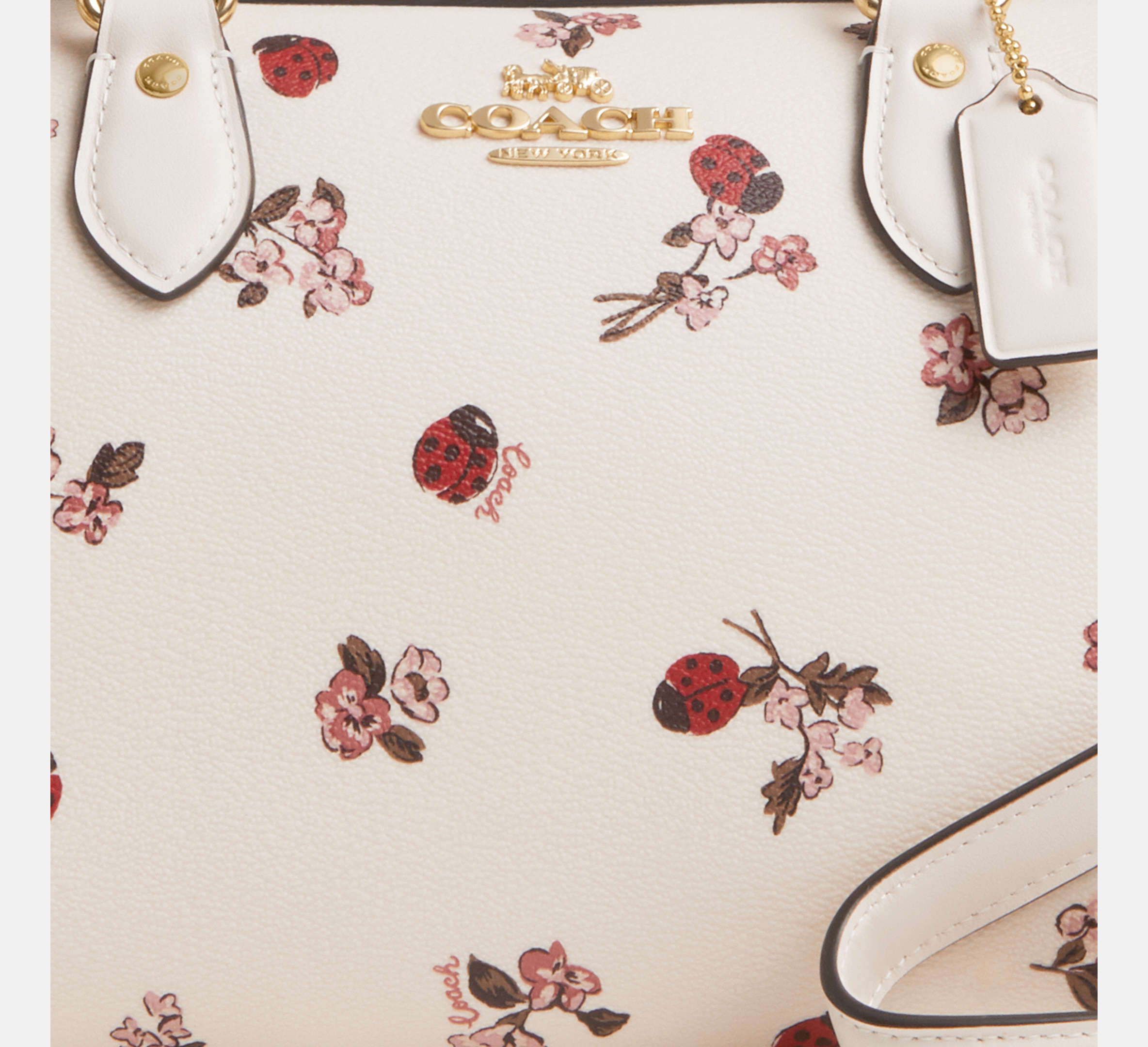 (PREORDER) COACH - Rowan Satchel Bag With Ladybug Floral Print CU272