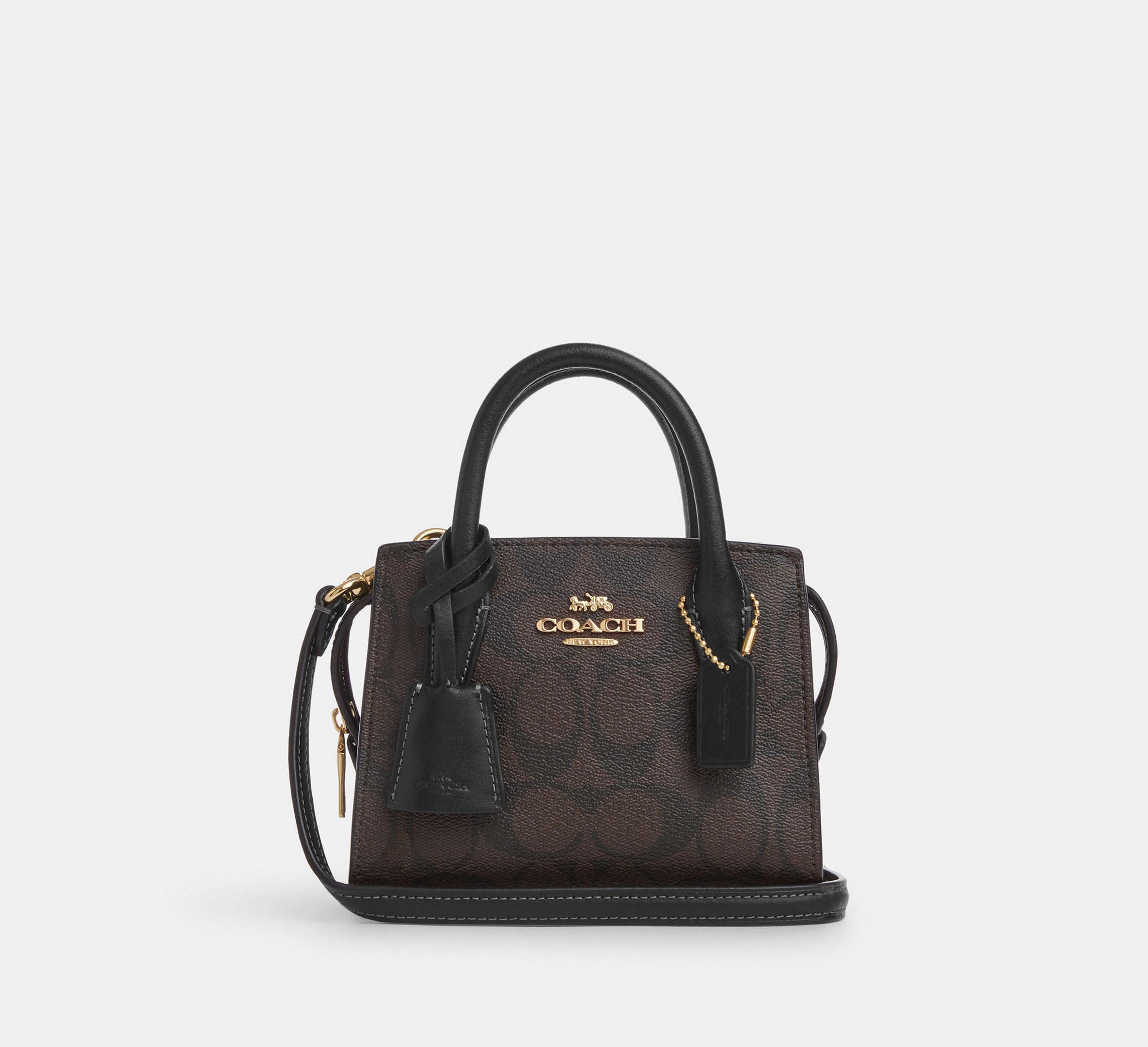 (PREORDER) COACH - Andrea Mini Carryall In Signature Canvas CO975