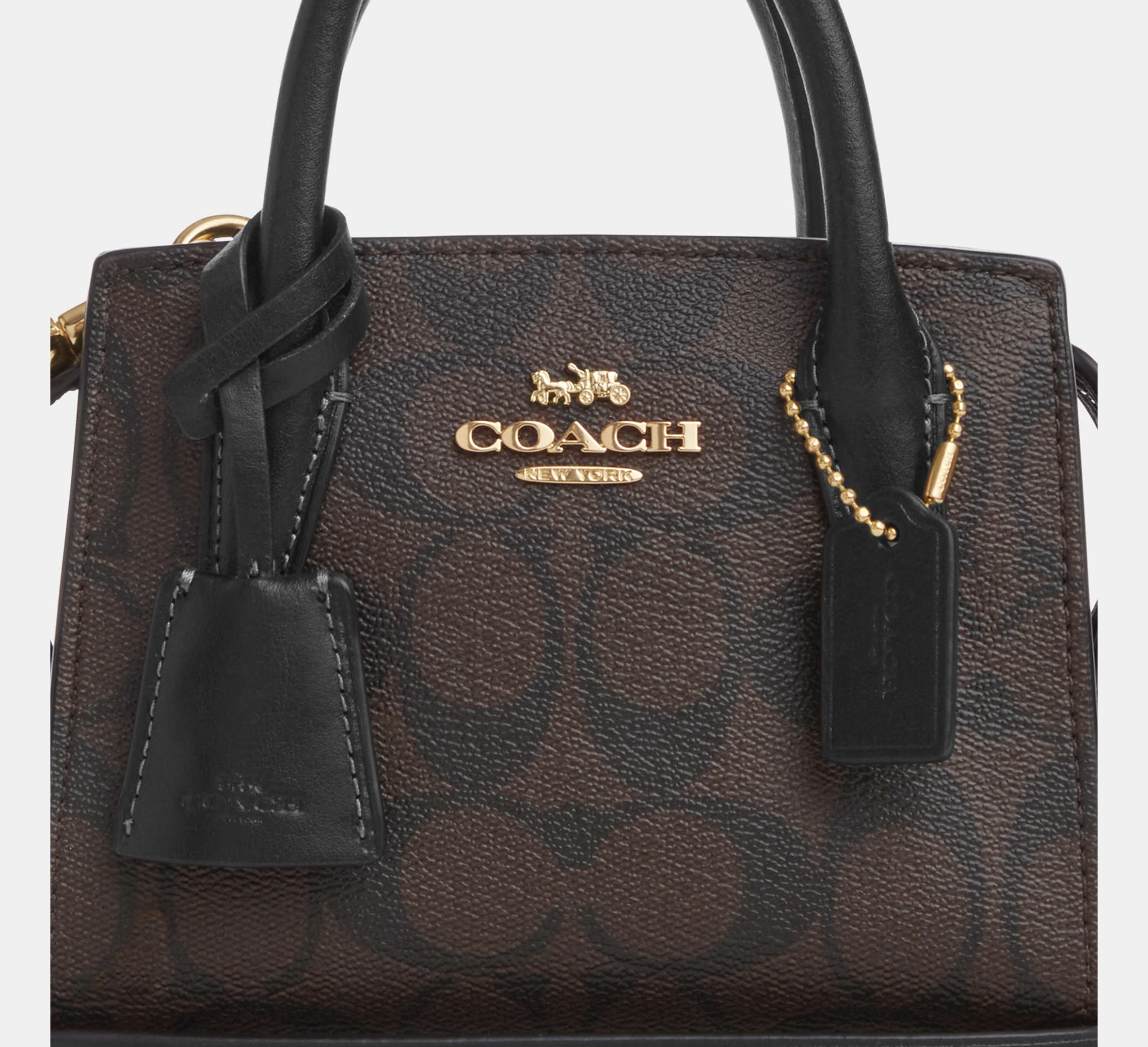 (PREORDER) COACH - Andrea Mini Carryall In Signature Canvas CO975