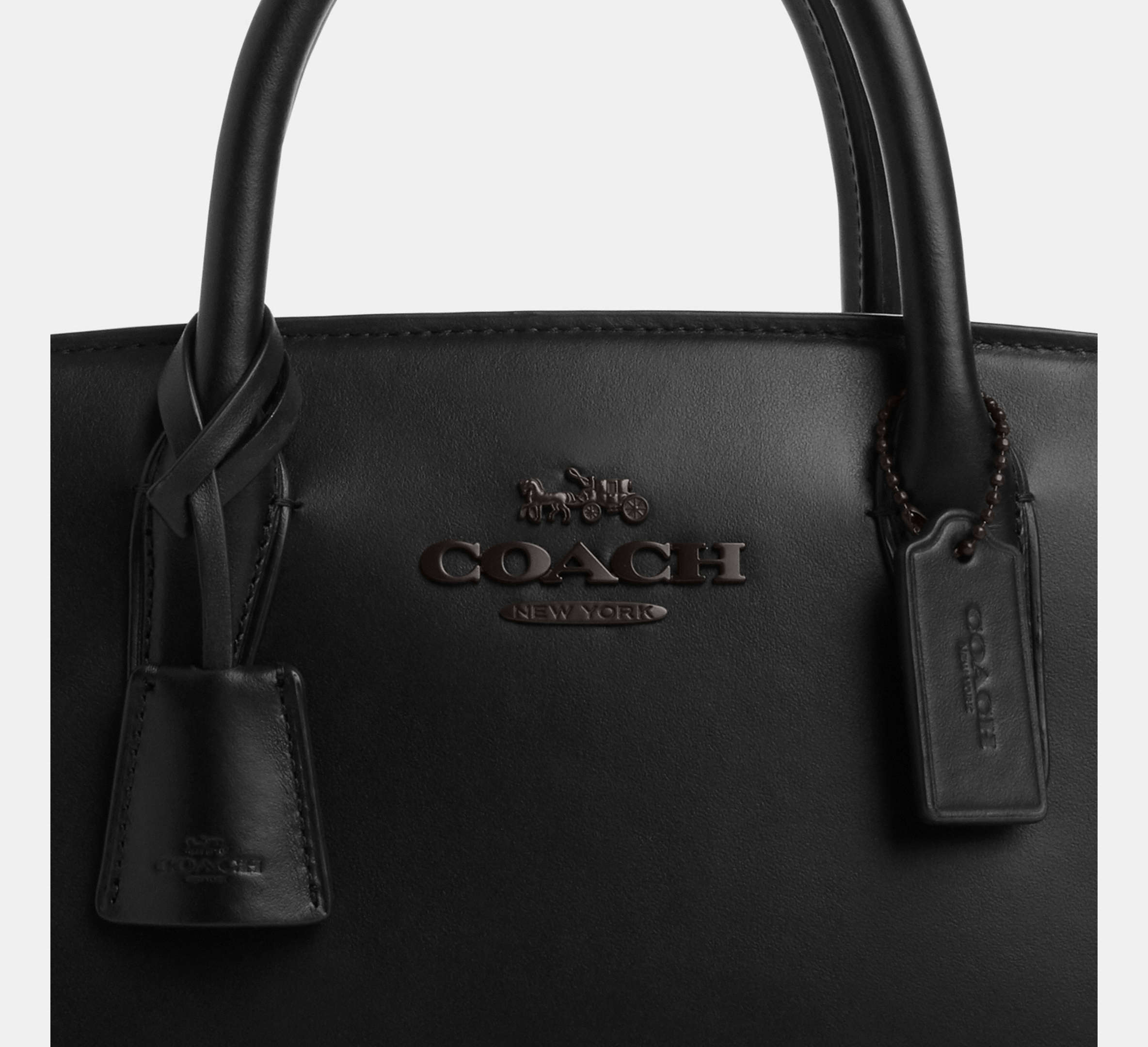 (PREORDER) COACH - Andrea Carryall Bag CP081